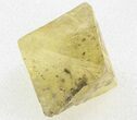 Yellow, Cleaved Fluorite Octahedron - Illinois #37831-1